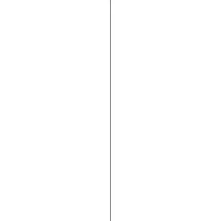 Afdekprofiel kunststof 2x30 mm lengte 260 cm zwart