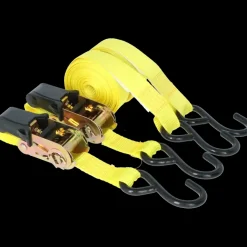 Carpoint Spanbandenset luxe met ratel 2 x 5 meter