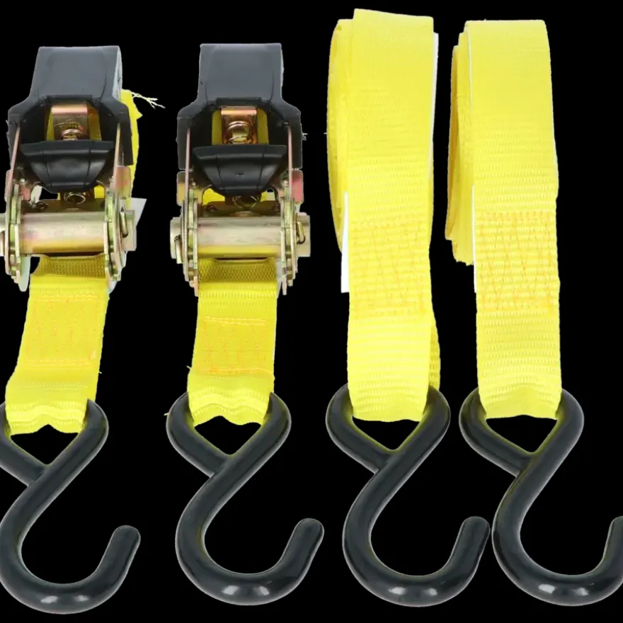 Carpoint Spanbandenset luxe met ratel 2 x 5 meter