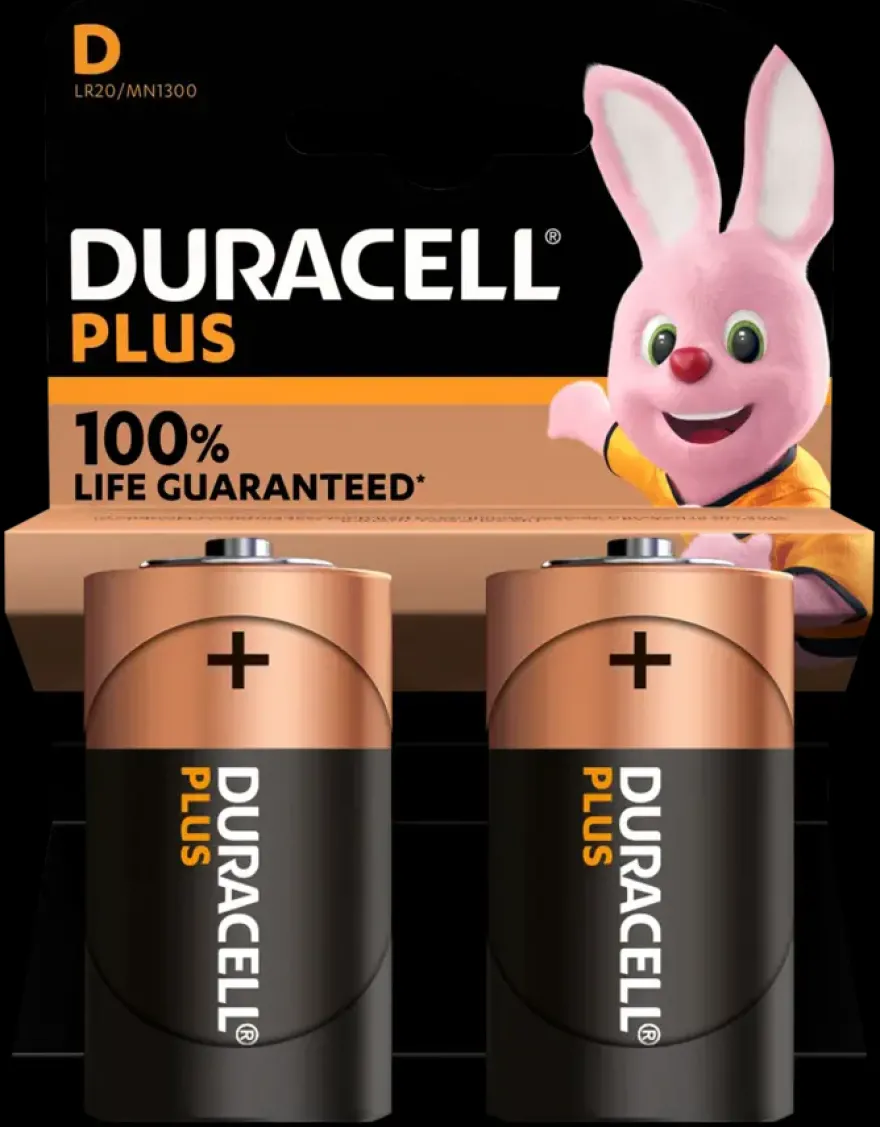 Duracell Batterij D Alkaline Plus 2 stuks