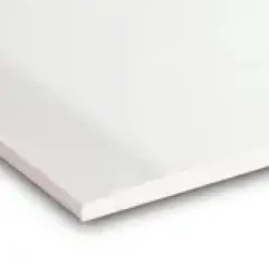 Gyproc gipsplaat AK 260 x 60 cm 12,5 mm