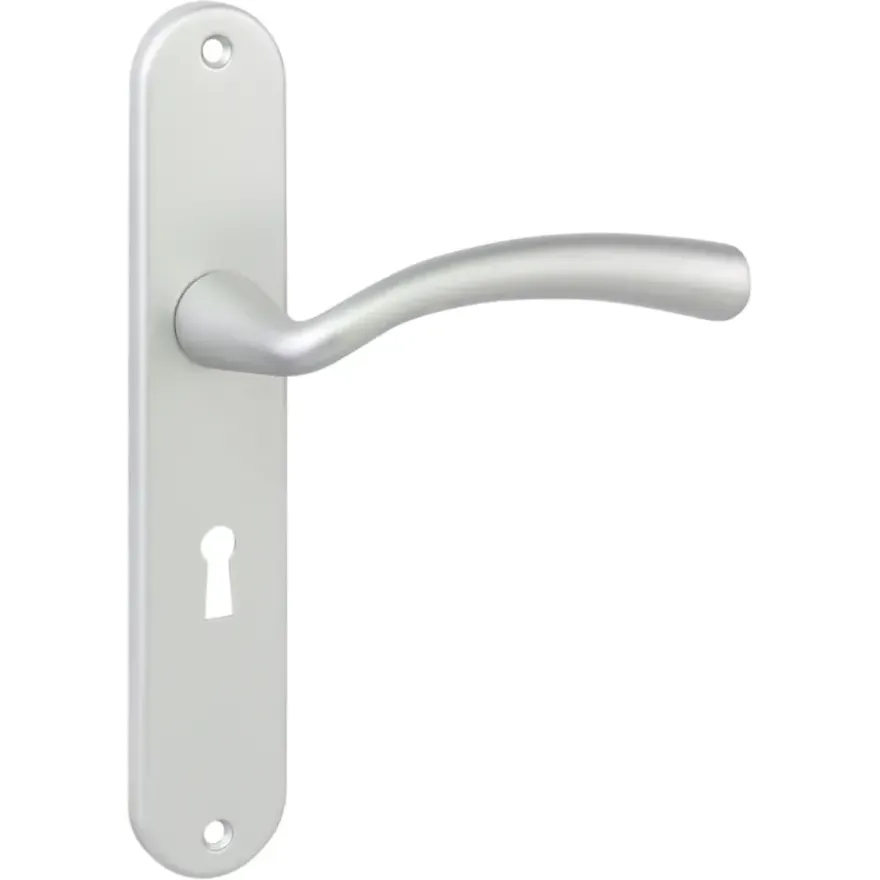 Karwei deurkruk set Portugal ovaal schild sleutelgat 56 mm ANOX aluminium mat