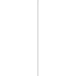 Koplat grenen recht gegrond 12x45 mm, lengte 270 cm