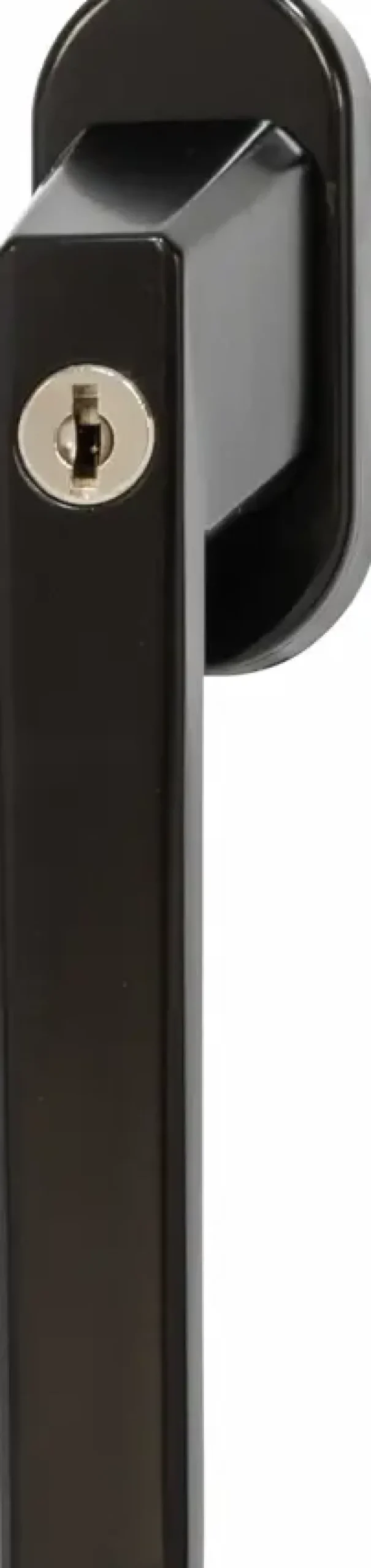 Raamboom FG110 zwart