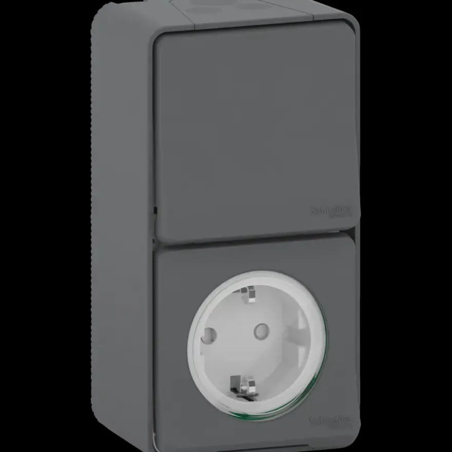 Schneider Electric Mureva Styl combinatie wandcontactdoos/wisselschakelaar IP55 antraciet