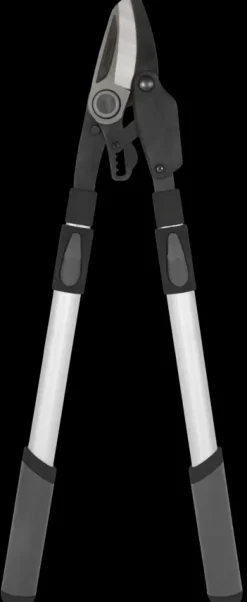 Takkenschaar telescopisch 50 - 82cm