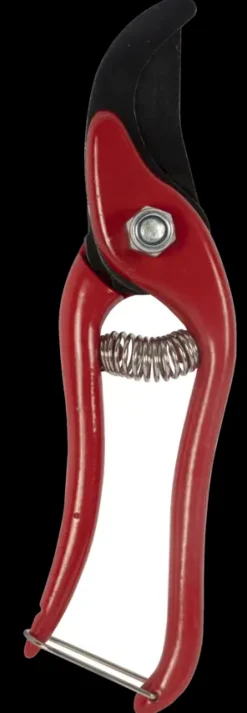Talen Tools snoeischaar budget